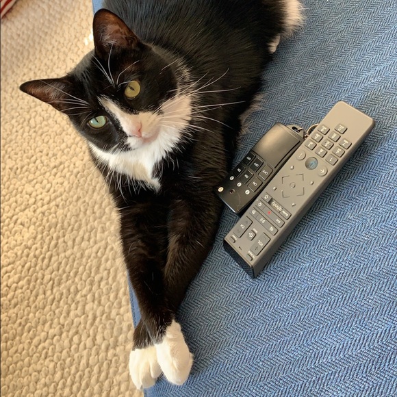 Meet your Posher, Christina - Picture 1 of 1